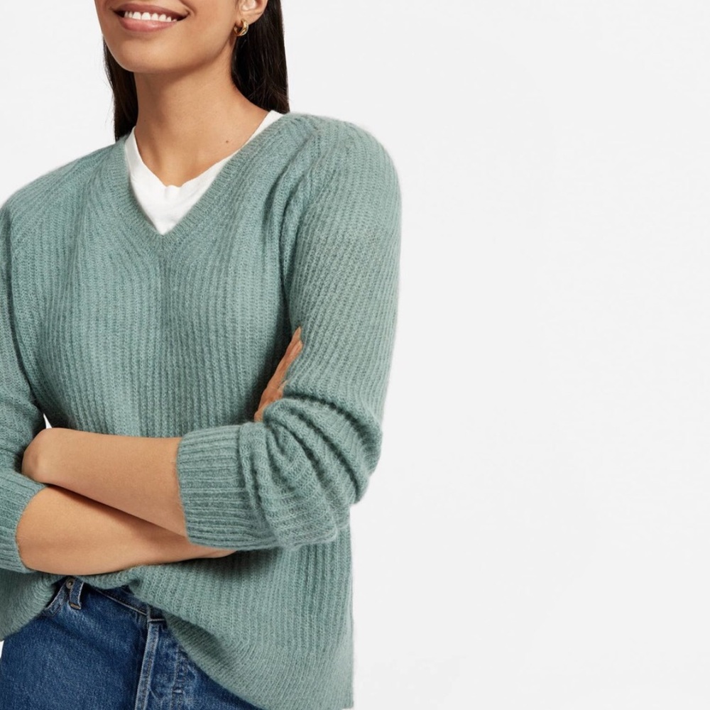 Everlane The Alpaca V-Neck Sweater